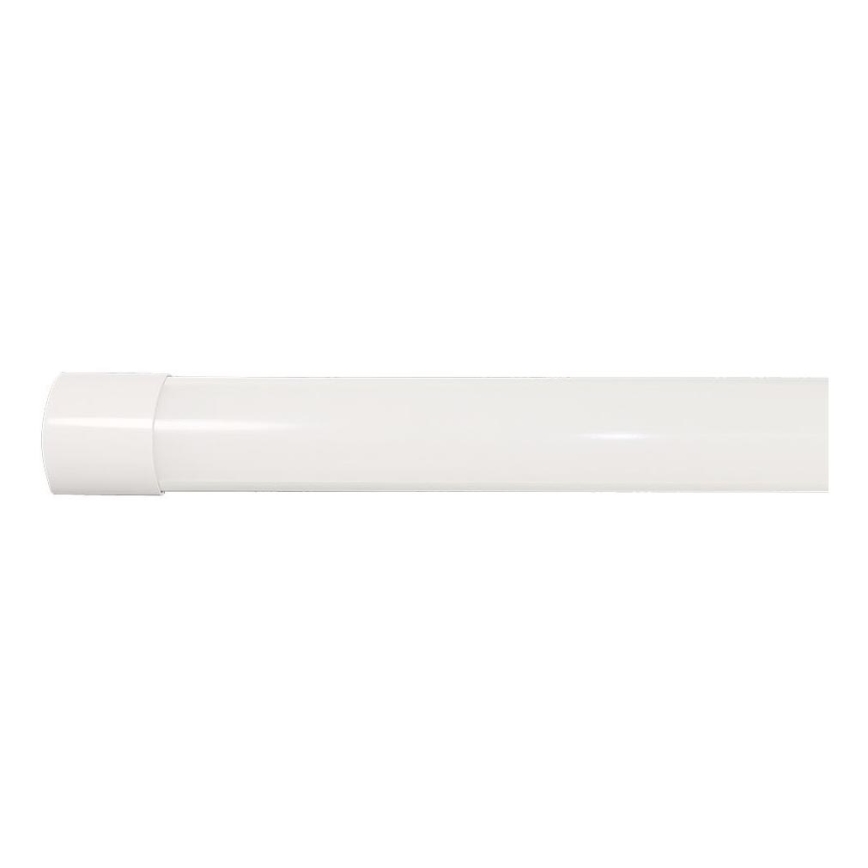 Iluminação fluorescente LED/40W/230V 3000/4000/6500K 116 cm