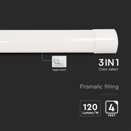 Iluminação fluorescente LED/40W/230V 3000/4000/6500K 116 cm