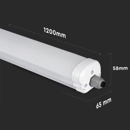Iluminação industrial fluorescente LED G-SERIES LED/36W/230V 6400K 120cm IP65