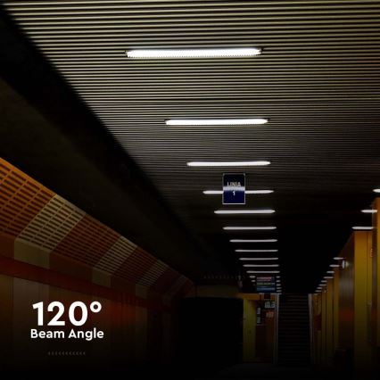 Iluminação industrial fluorescente LED LED/18W/230V 4000K IP65 60 cm