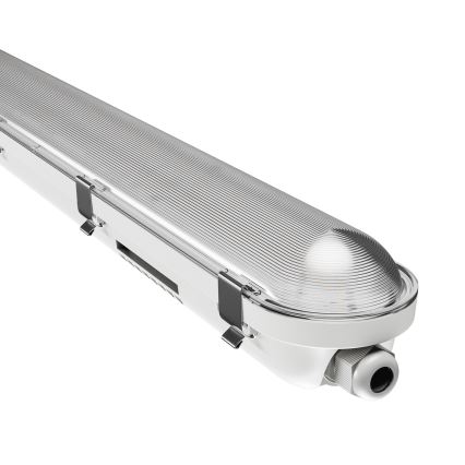 Iluminação industrial fluorescente LED LIMEA GIGANT PRO LED/12/21W/230V 4000K IK10 IP66 60 cm