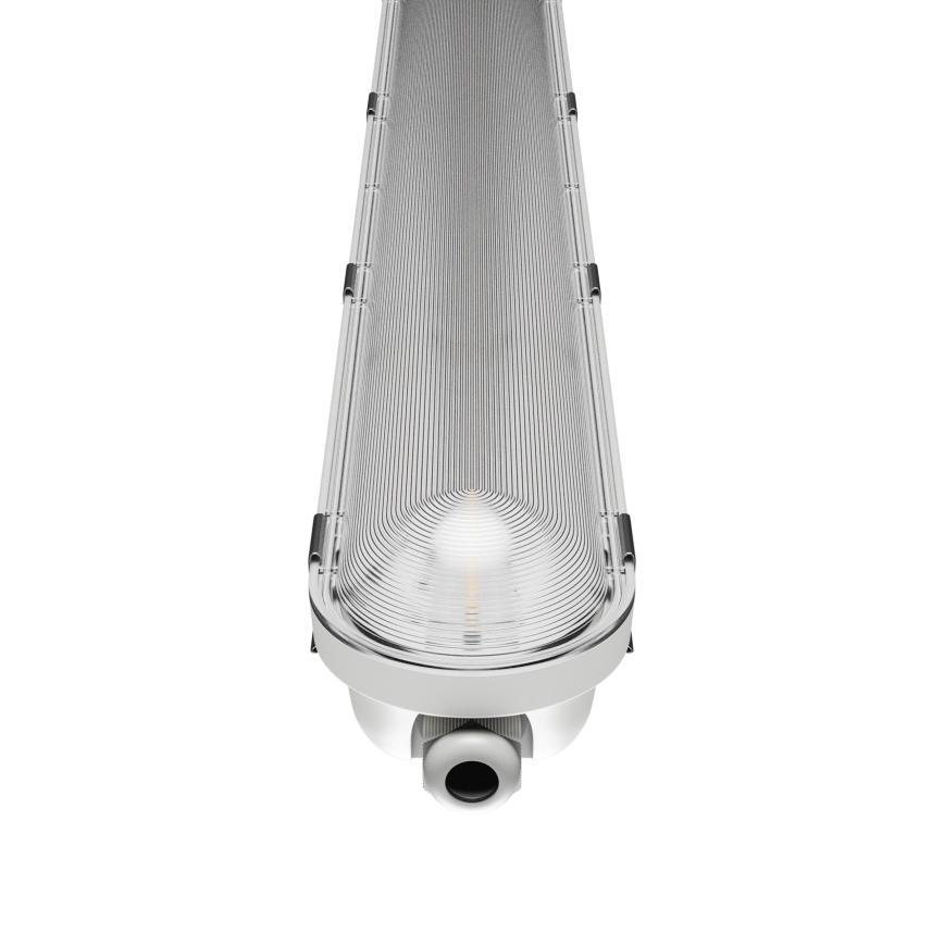 Iluminação industrial fluorescente LED LIMEA GIGANT PRO LED/12/21W/230V 4000K IK10 IP66 60 cm