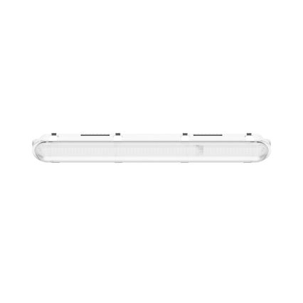 Iluminação industrial fluorescente LED LIMEA GIGANT PRO LED/12/21W/230V 4000K IK10 IP66 60 cm