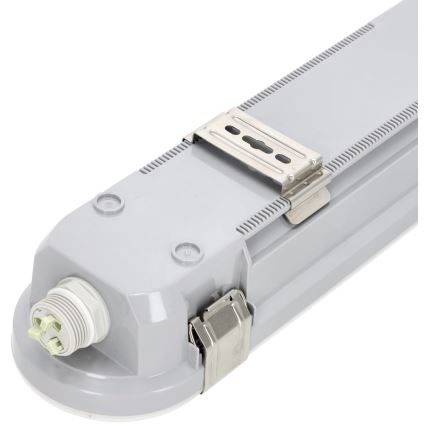 Iluminação industrial fluorescente LED NEXFORCE LED/36W/230V 4000K IP66