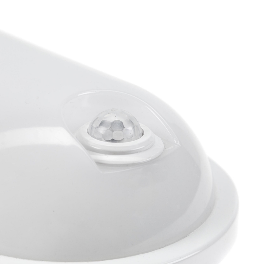 Iluminação industrial LED com sensor PIR LED/20W/230V IP54