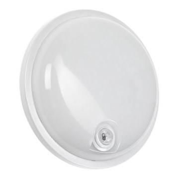 Iluminação industrial LED com sensor PIR LED/20W/230V IP54