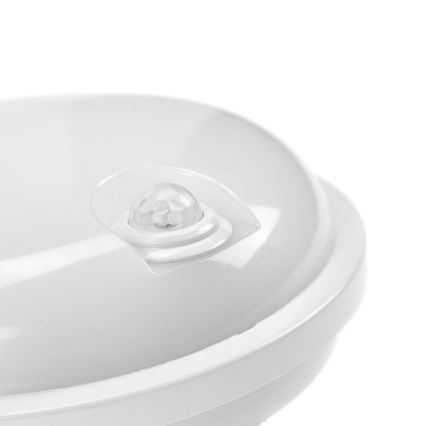 Iluminação industrial LED com sensor PIR LED/20W/230V IP54