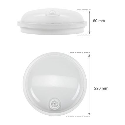 Iluminação industrial LED com sensor PIR LED/20W/230V IP54