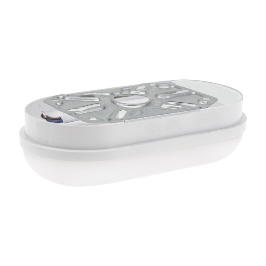Iluminação industrial LED LED/8W/230V IP54
