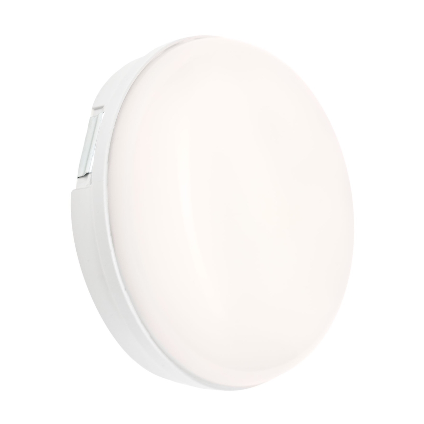 Iluminação industrial LED LED/8W/230V IP54
