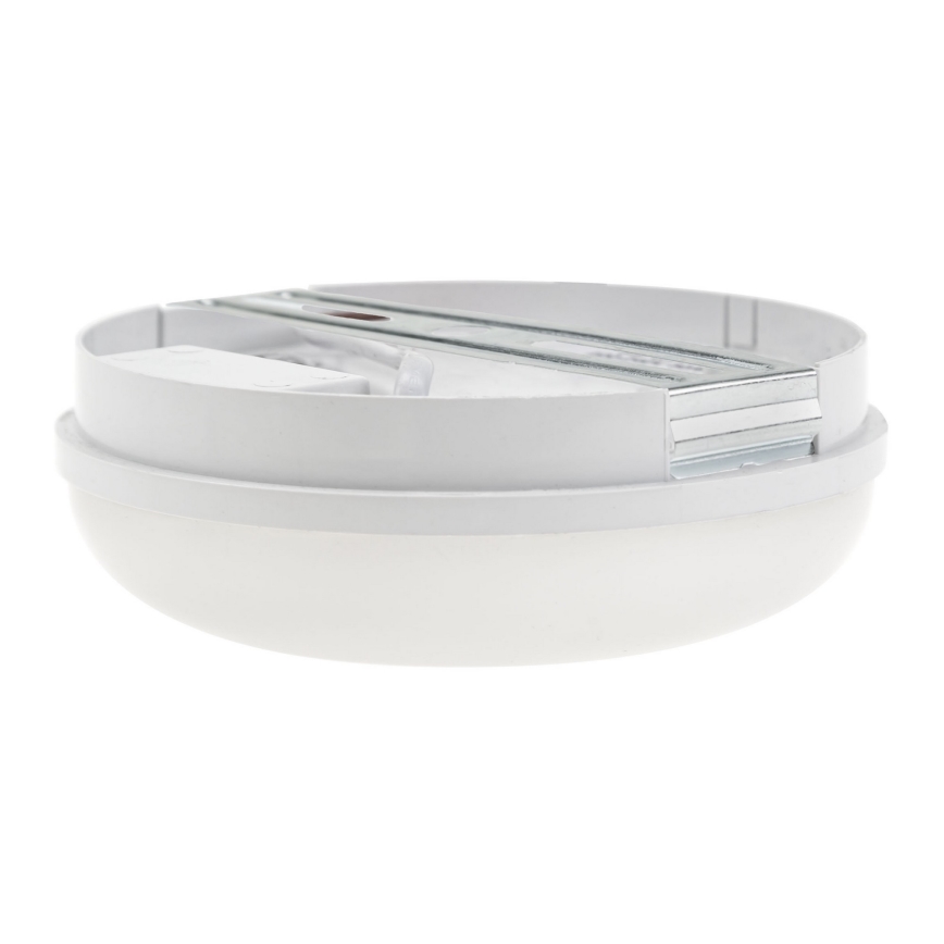 Iluminação industrial LED LED/8W/230V IP54