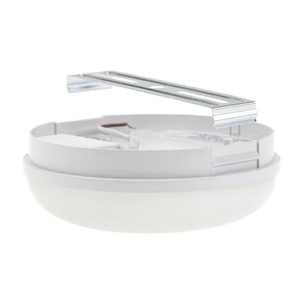 Iluminação industrial LED LED/8W/230V IP54