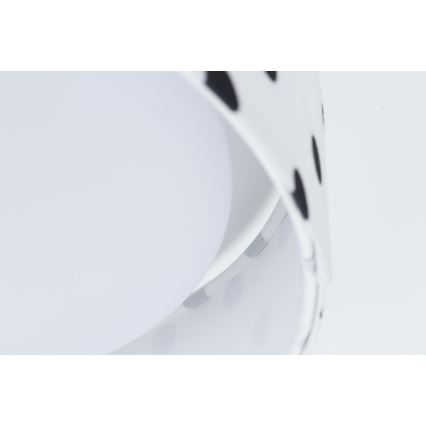 Iluminação de teto LED com regulação SMART GALAXY KIDS LED/24W/230V 3000-6500K pontos branco/preto + controlo remoto