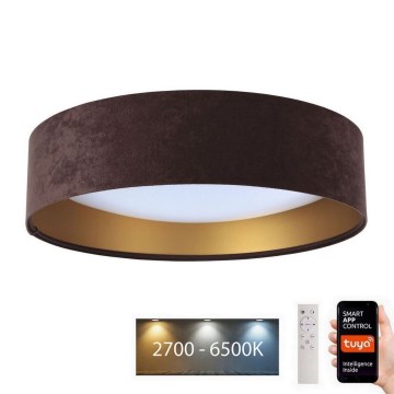 Iluminação LED com regulação SMART GALAXY LED/24W/230V diâmetro 45 cm Wi-Fi Tuya + controlo remoto