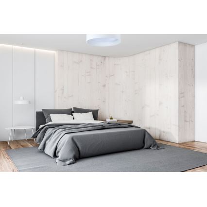 Iluminação LED com regulação SMART GALAXY LED/24W/230V diâmetro 45 cm Wi-Fi Tuya + controlo remoto