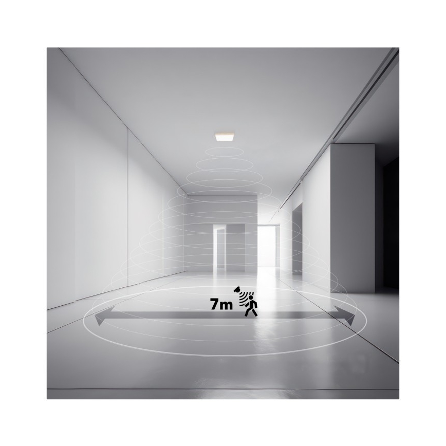 Luz LED para casa de banho com sensor de movimento e anoitecer NIVERA LED/12W/230V IP54 3000/4000/6000K 22,5x22,5 cm preto + comando