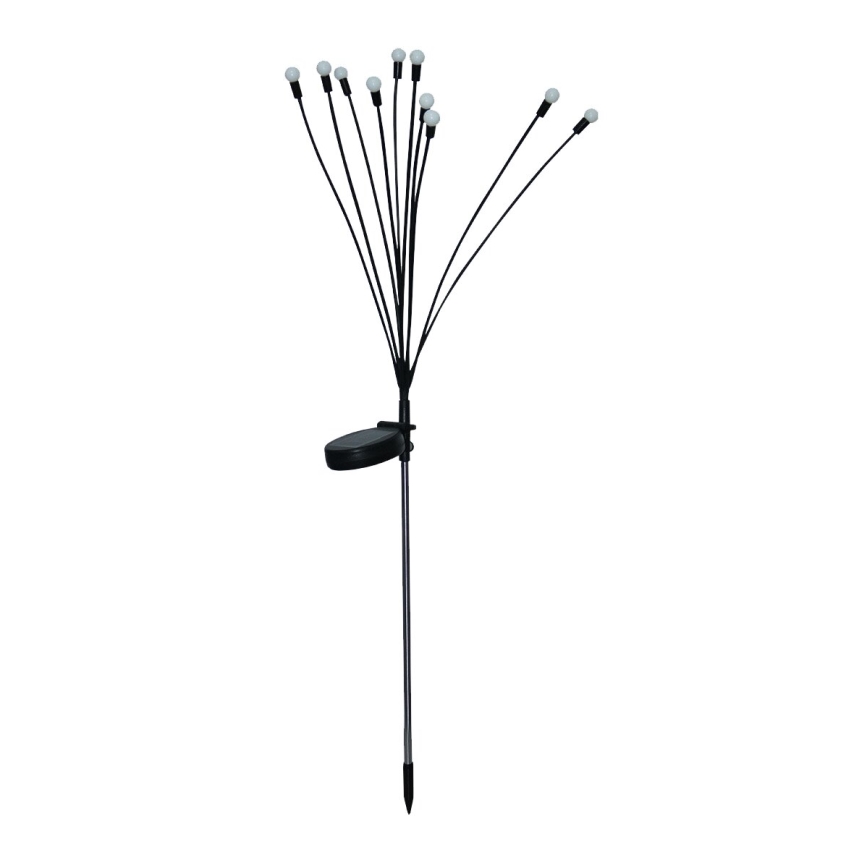 Iluminação LED Solar decorativa 10xLED/1,2V 3000K 73 cm IP44