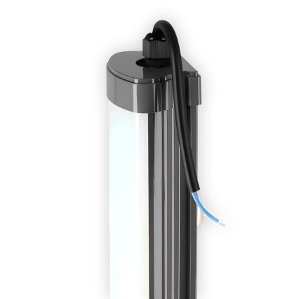 Iluminação para armário de cozinha LED LED/60W/230V 6000K 120 cm IP65 preto