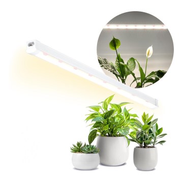 Iluminação para armário de cozinha LED para o cultivo de plantas GROWLY LED/15W/230W