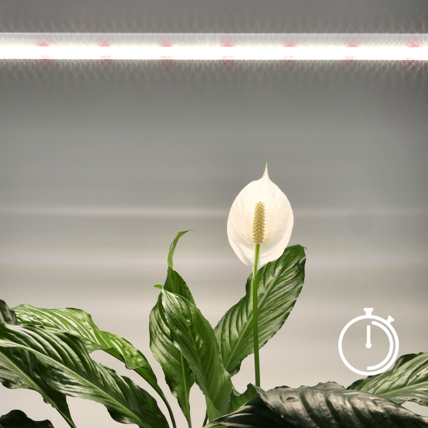 Iluminação para armário de cozinha LED para o cultivo de plantas GROWLY LED/15W/230W