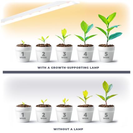 Iluminação para armário de cozinha LED para o cultivo de plantas GROWLY LED/15W/230W