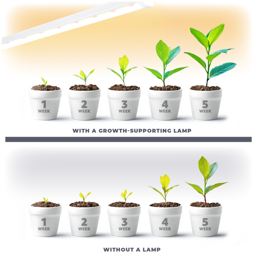 Iluminação para armário de cozinha LED para o cultivo de plantas GROWLY LED/15W/230W