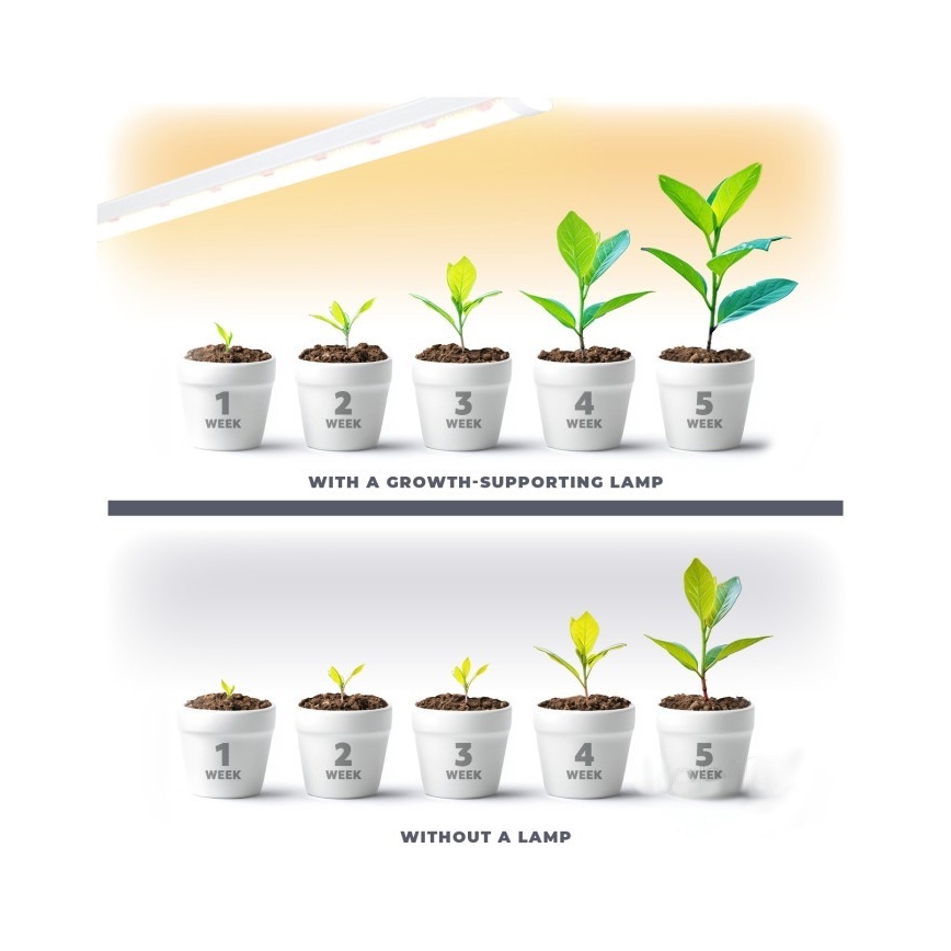 Iluminação para armário de cozinha LED para o cultivo de plantas GROWLY LED/9W/230V branco