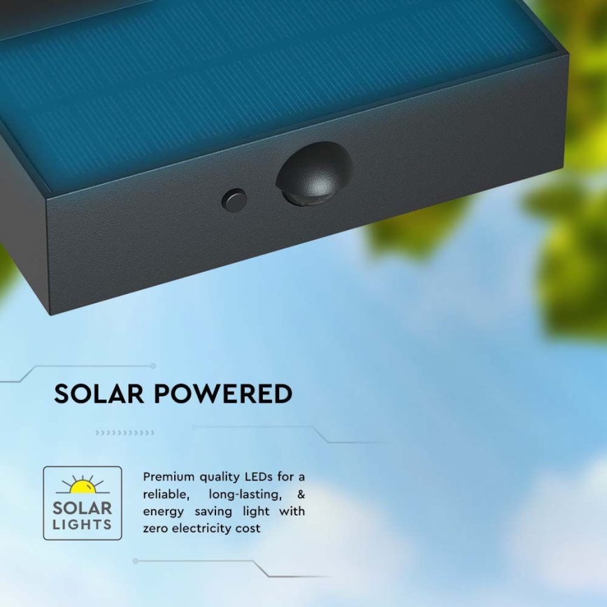 Iluminação solar de parede LED com sensor LED/3W/3,7V 3000K/4000K IP65 preto