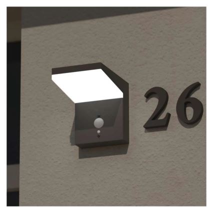 Iluminação solar de parede LED com sensor LED/4,4W/3,7V 2200 mAh IP44