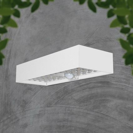Iluminação solar de parede LED com sensor LED/6W/3,7V IP65 4000K branco