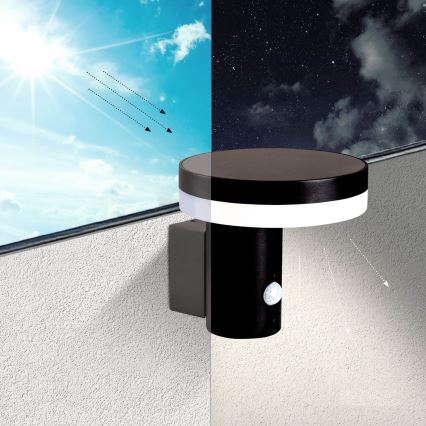 Iluminação solar de parede LED com sensor SOLARIS3 LED/5,5W/3,7V 4000K IP44