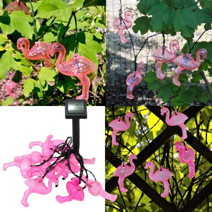 Iluminação solar LED 10xLED IP44 flamingo