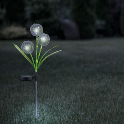 Iluminação solar LED ALLIUM LED/1,2V 6500K 600 mAh IP44 preto