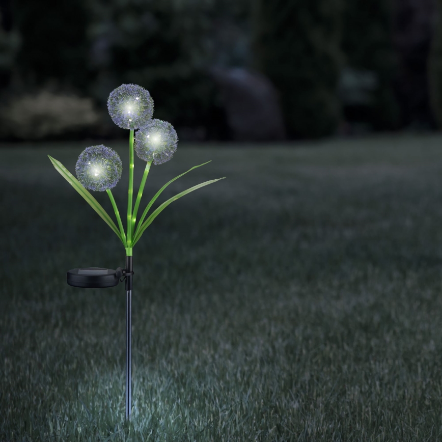 Iluminação solar LED ALLIUM LED/1,2V 6500K 600 mAh IP44 preto