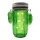 Iluminação solar LED CACTUS LED/1,2V IP44
