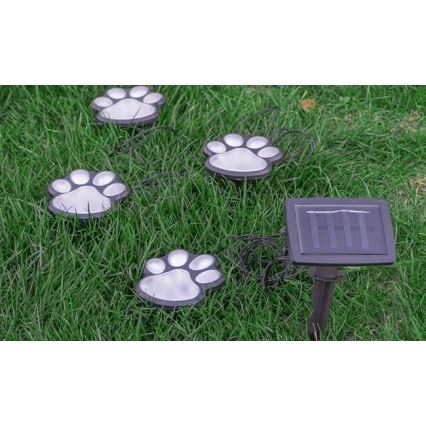 Iluminação solar LED LED/0,14W/2V IP44 paws