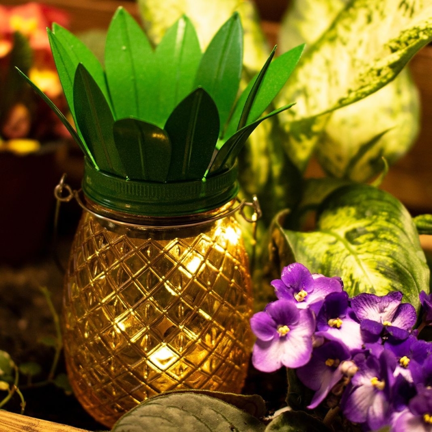 Iluminação solar LED PINEAPPLE LED/1,2V IP44