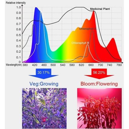 Iluminação suspensa LED para plantas em crescimento LED/24W/230V IP44