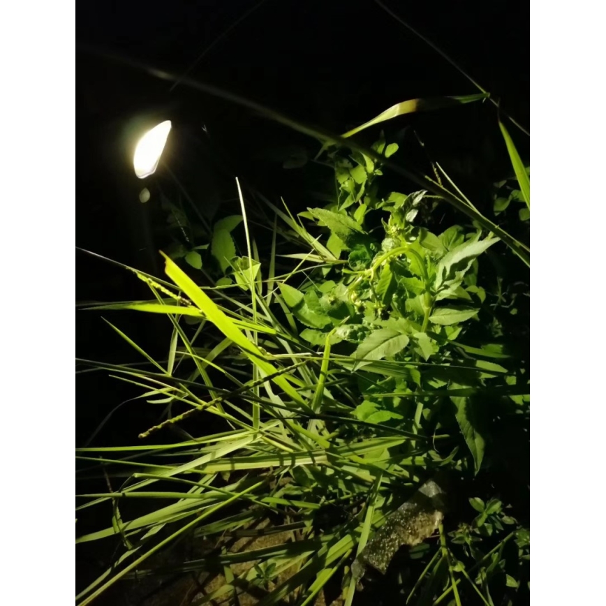Candeeiro solar LED com sensor LED/1W/3,7V 6000K IP65