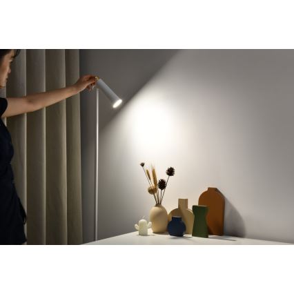 Candeeiro de chão LED com regulação TIT LED/6W/230V branco