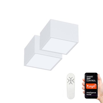 Immax Neo 07072L-15BD - Conjunto 2x Iluminação de teto LED com regulação CANTO 2xLED/12W/230V + controlo remoto Tuya