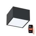 Immax NEO 07074L-15 - Iluminação LED com regulação CANTO LED/12W/230V preta Tuya