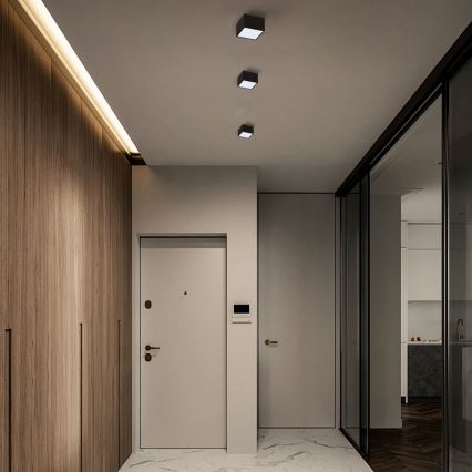 Immax Neo 07074L-15BD - Conjunto 2x Iluminação de teto LED com regulação CANTO 2xLED/12W/230V + controlo remoto Tuya