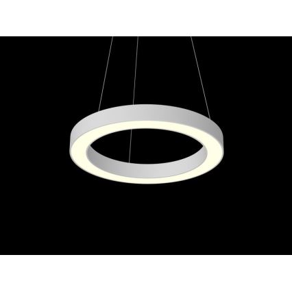Immax NEO 07091L - Candelabro suspenso LED com regulação PASTEL LED/52W/230V 60 cm branco Tuya