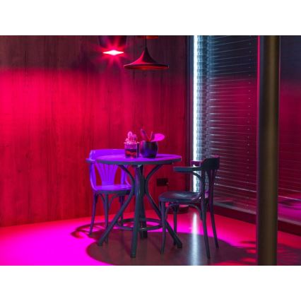Immax NEO 07115L - Lâmpada LED RGB Regulável E27/9W/230V 1800-6500K Tuya