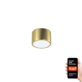 Immax Neo 07127L - Iluminação de teto LED com regulação RONDATE LED/12W/230V Tuya