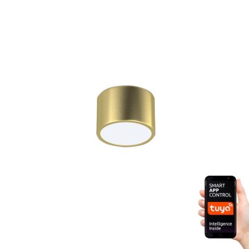 Immax Neo 07127L - Iluminação de teto LED com regulação RONDATE LED/12W/230V Tuya