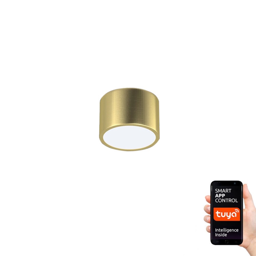 Immax Neo 07127L - Iluminação de teto LED com regulação RONDATE LED/12W/230V Tuya