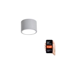 Immax NEO 07143-GR15X - Iluminação de teto LED com regulação RONDATE LED/12W/230V Tuya cinzenta