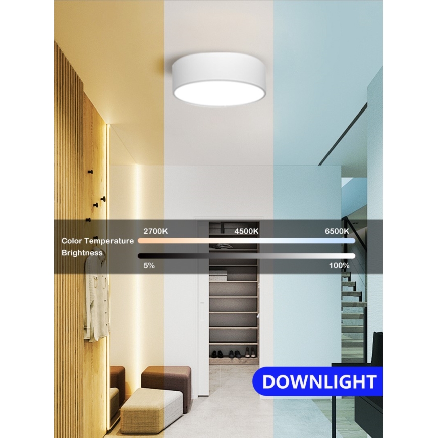 Immax NEO 07204L - Iluminação de teto LED com regulação RONDATE LED/18W/230V 3000-6000K branco Tuya + comando